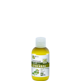 ODŻYWKA  DO WŁOSÓW DO COEDZIENNEGO STOSOWANIA Z EKSTRAKTEM Z BRZOZY 75ML